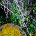 Leyden Jars - The Waters Rise