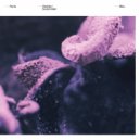 Facta - Scotch Mist (Original Mix)