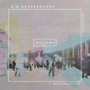 B.G. Baarregaard - Mestringskatten (Original Mix)