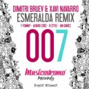 Dimitri Bruev & Xavi Navarro - Esmeralda (Alvaro Corz Remix)