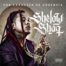 Shelow Shaq & Mozart La Para - Se Acabo el Amor