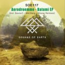 Aerodroemme & Seedorf - Batumi (Seedorf Remix)