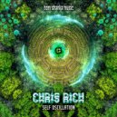 Chris Rich - Self Oscillation (Original mix)