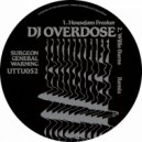 DJ Overdose - Vinca (Original Mix)