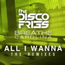 Disco Fries, Breathe Carolina - All I Wanna (Jenaux Radio Edit)