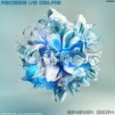 Andreg vs Devas - Romanian Dream (Original Mix)