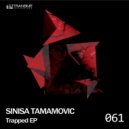 Sinisa Tamamovic - Fear
