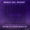 Mario del Regno - No What You Want