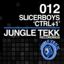 Slicerboys - CTRL+1 (Slicertech Mix)