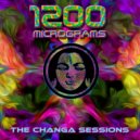 1200 Micrograms - Changa (Flute Intro) (Original Mix)