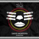 David Montoya - Borachas