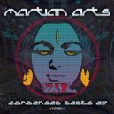 Martian Arts & Psykick - Ashvem Beats (432Hz 12-Tet) (Original Mix)