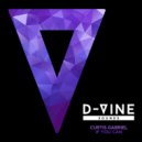 Curtis Gabriel - If You Can (Original Mix)