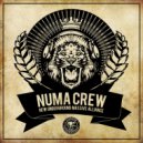 Numa Crew featuring MC Kwality - Control (Original Mix)