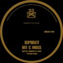 Spirit - Spray Can (Original Mix)