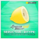 Lewis Delay & Peter Crunch - Ditype (Original Mix)