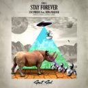 Cucumbers feat. Irina Makosh - Stay Forever