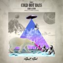 Sebb Aston - Cold Hot Bass (Lessovsky Remix)