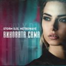 Storm DJs, MetroWave - Виновата сама