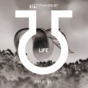 Irregular Synth - Minibus