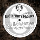 The Infinity Project feat. Raja Ram - Feeling Very Weird
