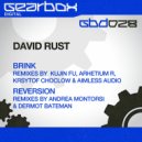 David Rust - Brink