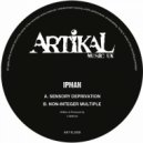Ipman - Non-Integer Multiple