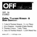 Gabe, Thomaz Krauze - I Don\'t Need You (Original Mix)