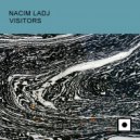 Nacim Ladj - Visitors (Alex Patane\' Remix)