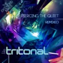 Tritonal feat. Jenry R - Something New (Tritonal Club Mix)