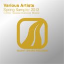 Sebastian Brushwood - Long Way To Paradise