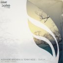 Alexandre Bergheau & Tonny Nesse - Templar (Spark7 Remix)