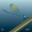 Smash TV - Multivision