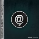 Cosmic Zebra - Walking (Radio Edit)