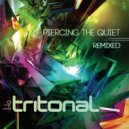 Tritonal feat. Jenry R - Something New (Tritonal Club Mix)