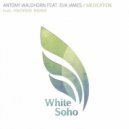 Antony Waldhorn feat. Eva James - Medication (Radio Edit)