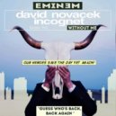 Eminem vs. David Novacek & Incognet - Loser Hit Without Me