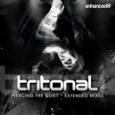 Tritonal - Shapes Revolve