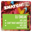 DJ Sneak - My Love