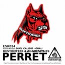 Destroyers & Aggresivnes - Perret
