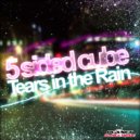 5 Sided Cube - Tears In The Rain (Damn-R Remix Edit)