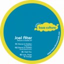 Joel Alter - Early Birds