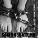 Александр Шпунгин - Самоизоляция (Original Mix)