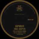 Spirit - Raygun VIP (Original Mix)
