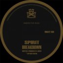Spirit - Lost Funk (Original Mix)