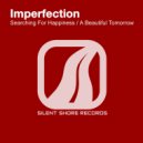 Imperfection - A Beautiful Tomorrow (Original Mix)