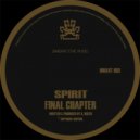 Spirit - Raygun (Original Mix)