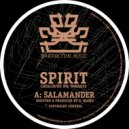 Spirit - Holding Back (Original Mix)