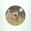 New Phunk Theory - Honey Lakes