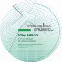 Seba, Paradox - Open Minds Please